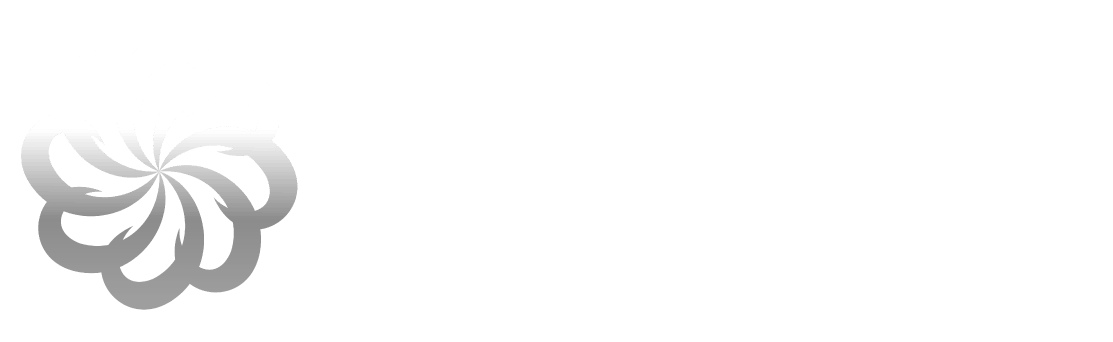AirDeveloppa